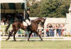 burghley1996