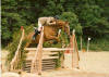 gatcombe1989